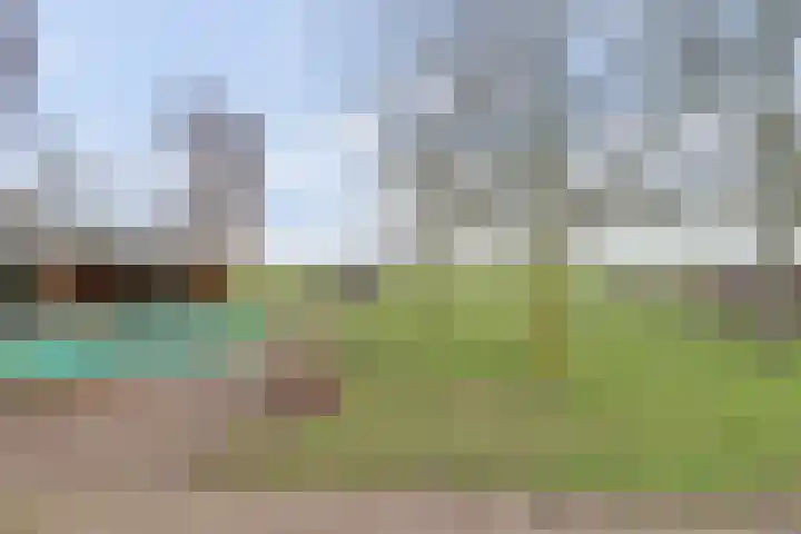 Hoogveld 1 Oploo thumbnail 43