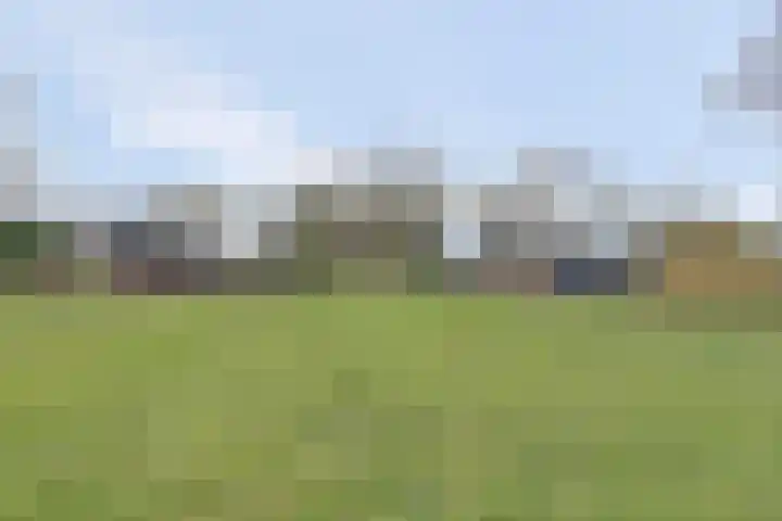 Hoogveld 1 Oploo thumbnail 46