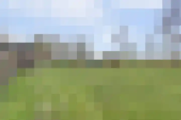 Hoogveld 1 Oploo thumbnail 47