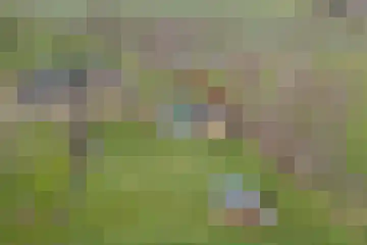 Hoogveld 1 Oploo thumbnail 48