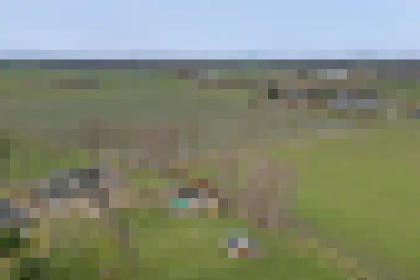 Hoogveld 1 Oploo thumbnail 49