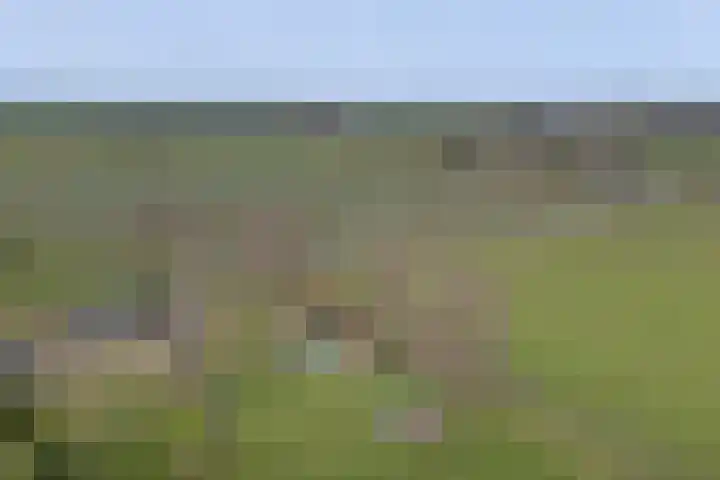 Hoogveld 1 Oploo thumbnail 49