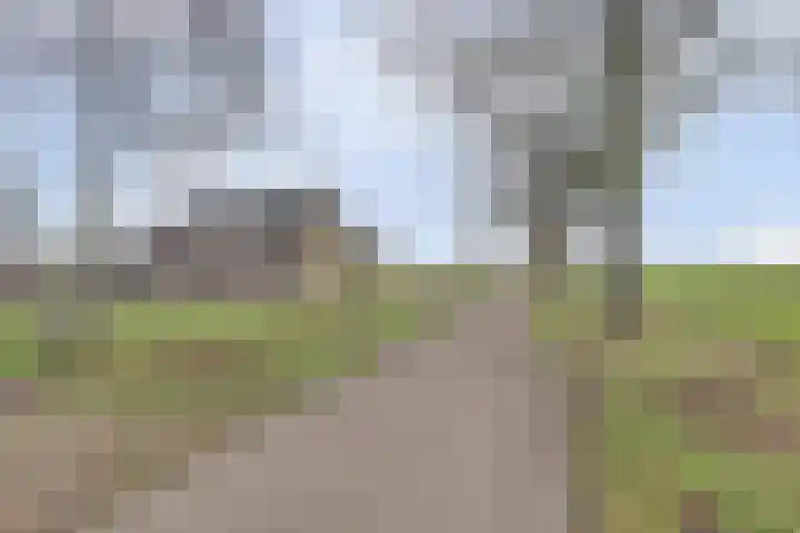 Hoogveld 1 Oploo thumbnail 5