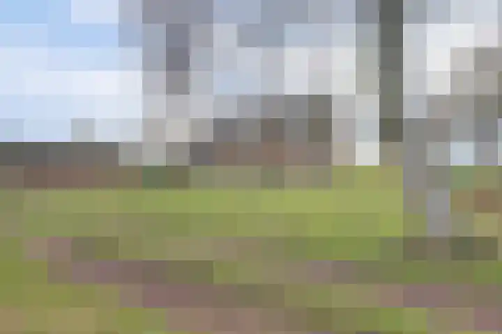 Hoogveld 1 Oploo thumbnail 6