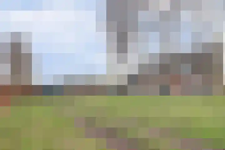 Hoogveld 1 Oploo thumbnail 7