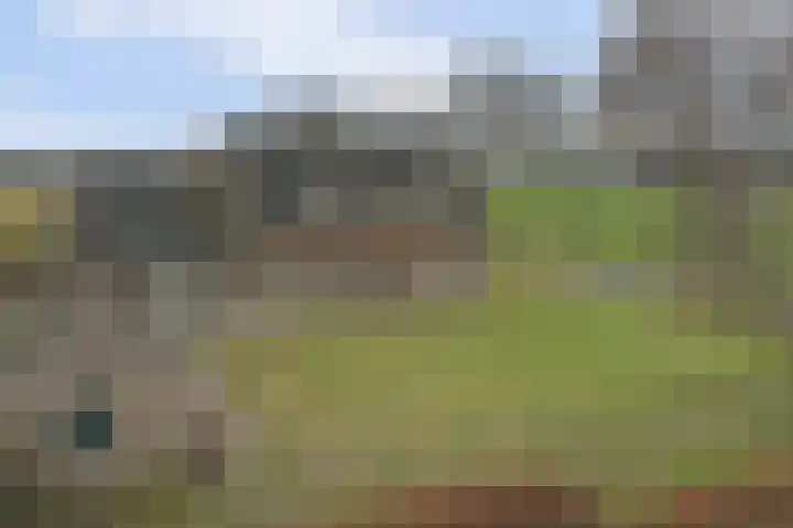 Hoogveld 1 Oploo thumbnail 8
