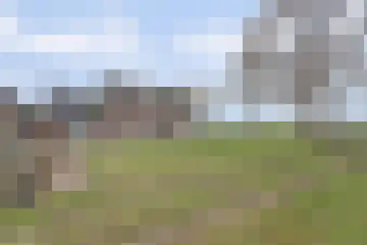 Hoogveld 1 Oploo thumbnail 9