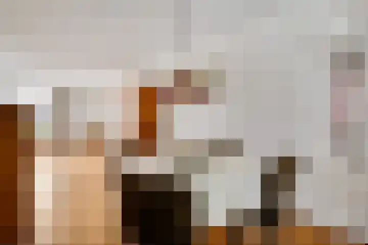 Hoogveld 15 Haelen thumbnail 12