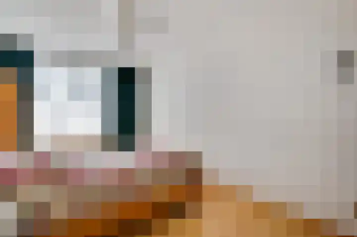 Hoogveld 15 Haelen thumbnail 20