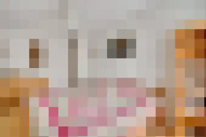 Hoogveld 15 Haelen thumbnail 21