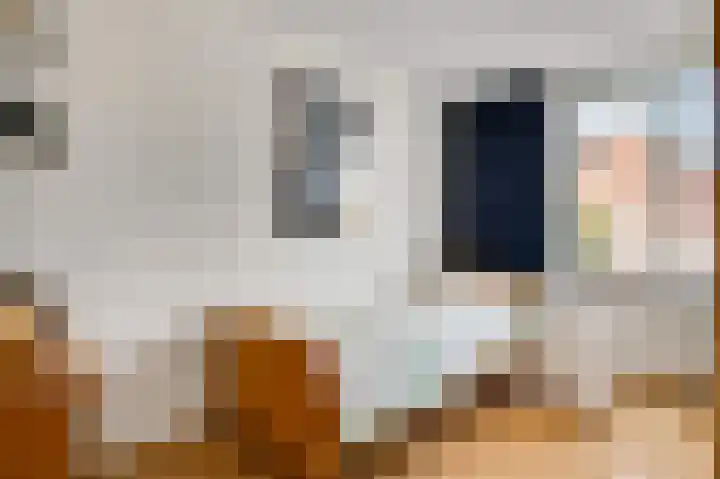 Hoogveld 15 Haelen thumbnail 22