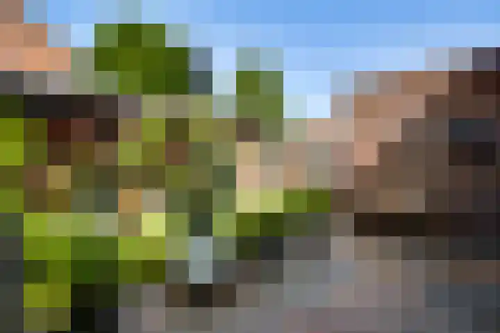 Hoogveld 15 Haelen thumbnail 30