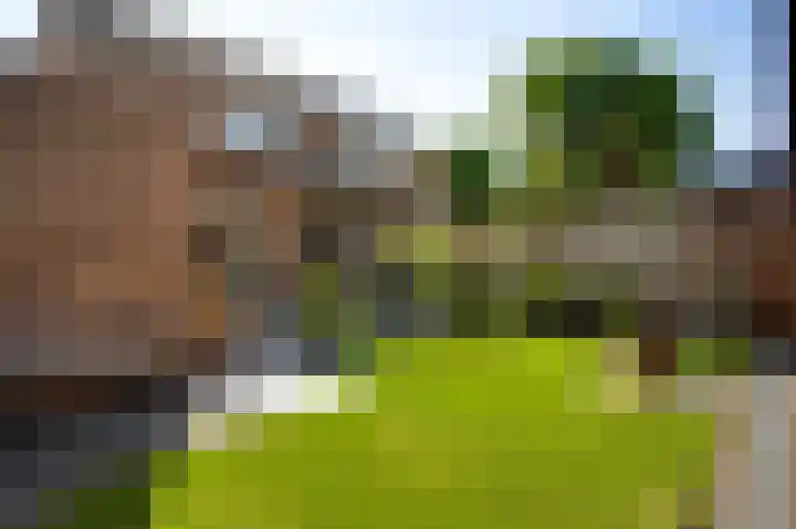 Hoogveld 15 Haelen thumbnail 31