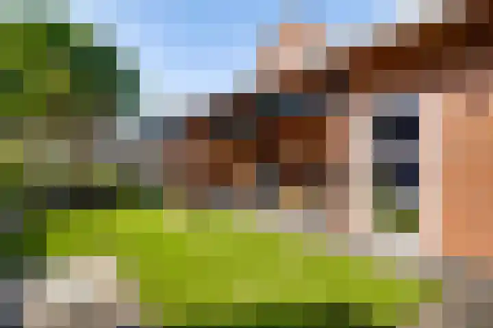 Hoogveld 15 Haelen thumbnail 32