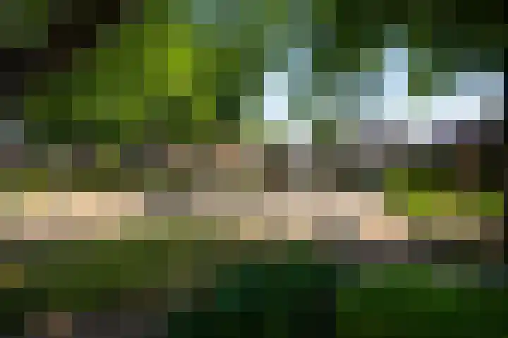 Hoogveld 15 Haelen thumbnail 35