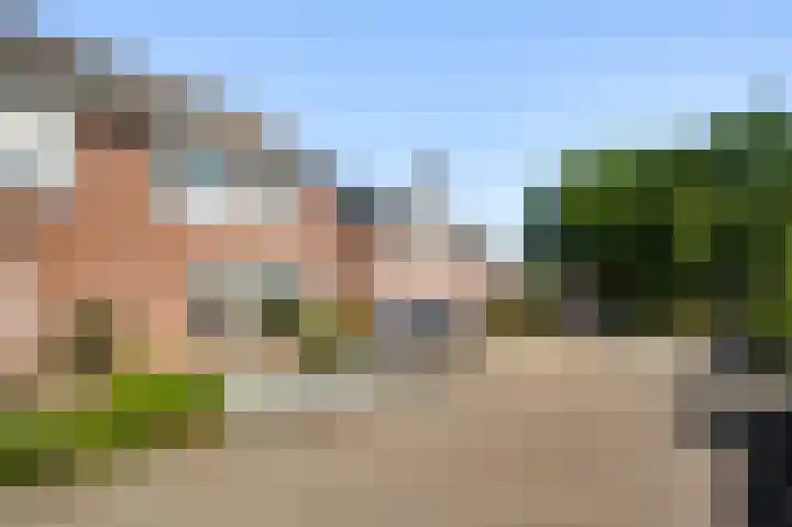 Hoogveld 15 Haelen thumbnail 36