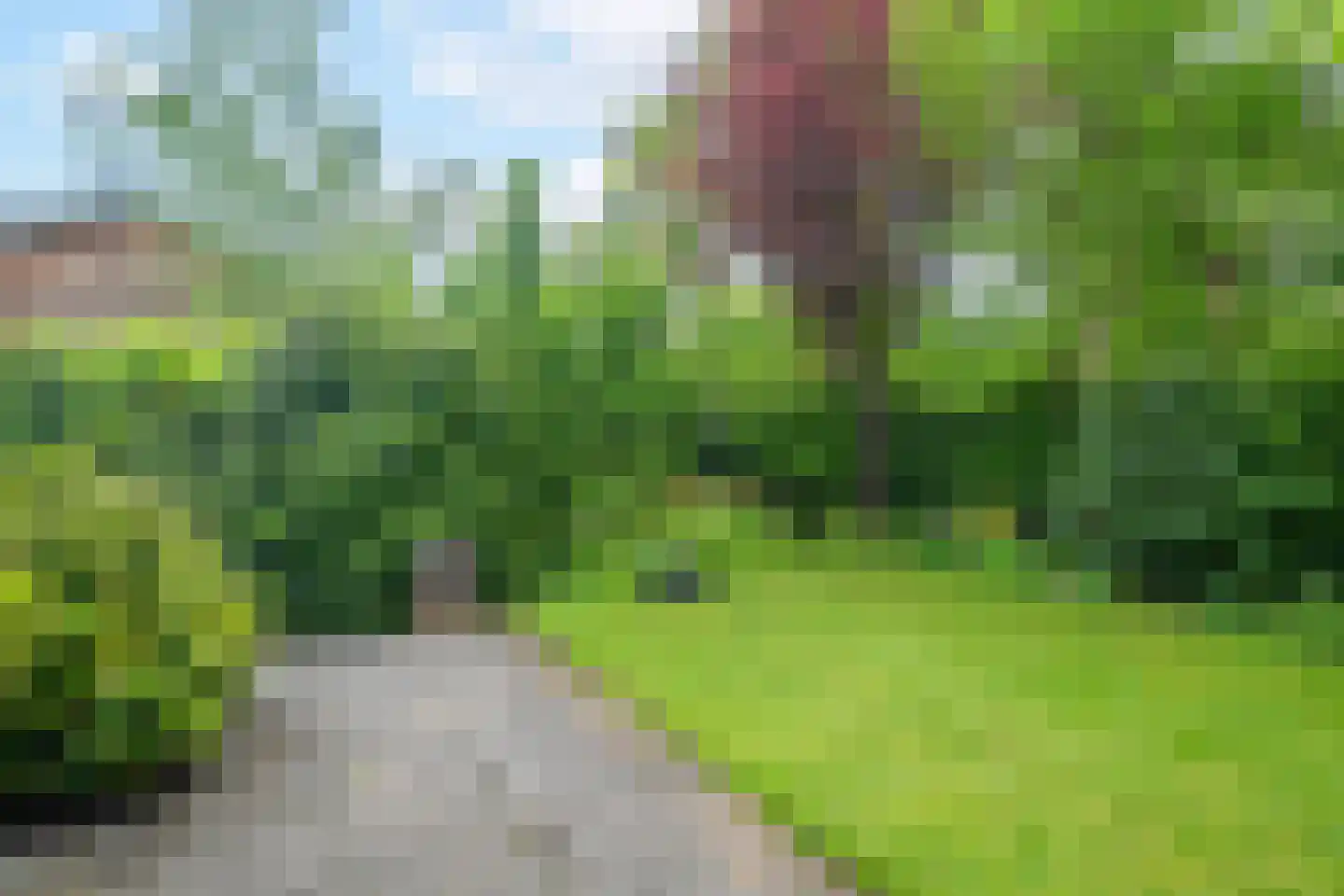 Hoogveld 36 Haren Gn thumbnail 51