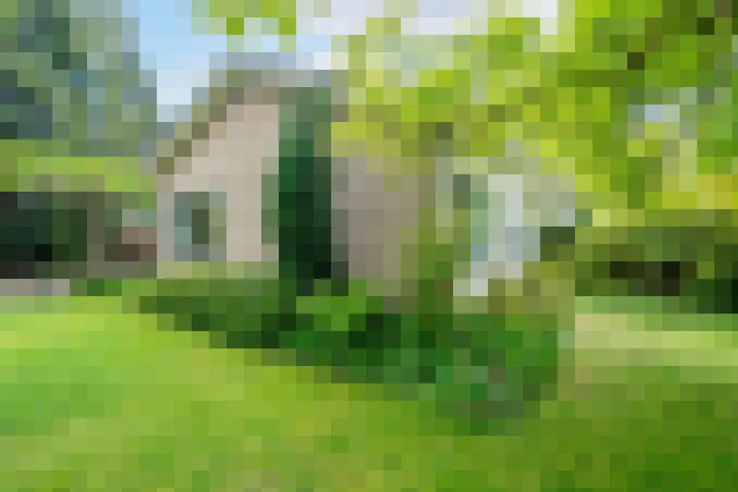 Hoogveld 36 Haren Gn thumbnail 59