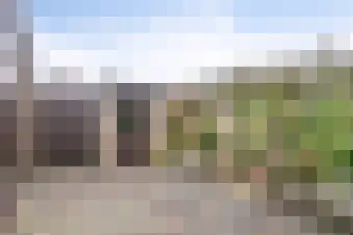 Hoogveld 4 Venray thumbnail 27