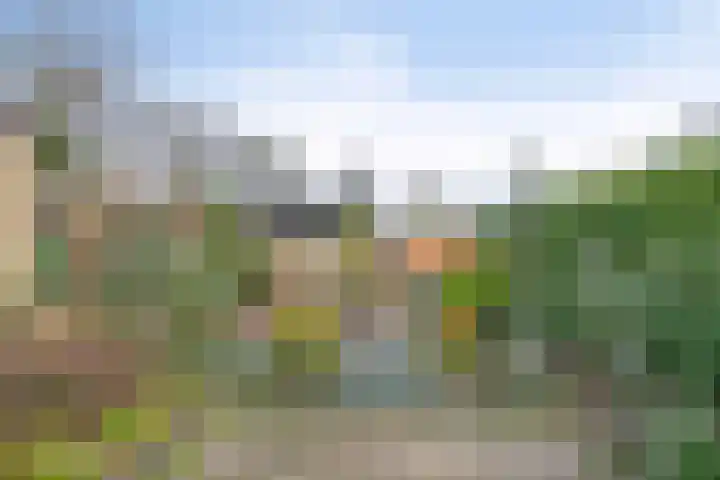 Hoogveld 4 Venray thumbnail 32