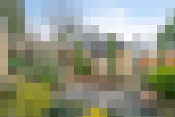 Hoogveld 4 Venray thumbnail 33