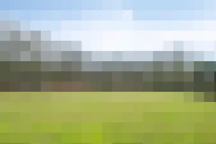 Hoogveld 4 Venray thumbnail 38