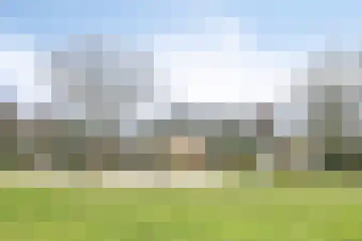 Hoogveld 4 Venray thumbnail 39