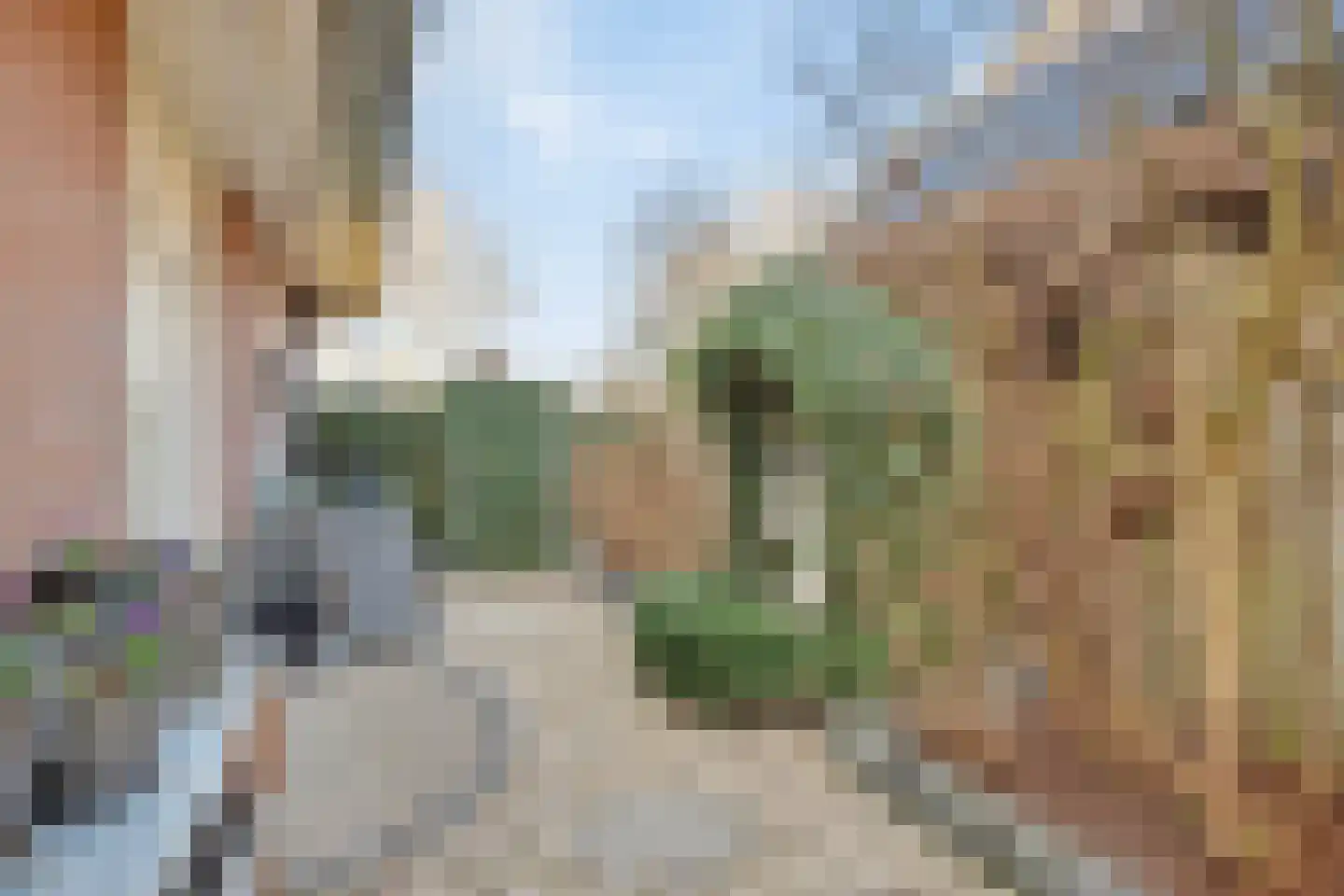 Hoogvelden 9 Best thumbnail 10