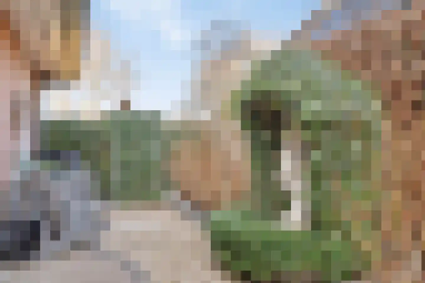 Hoogvelden 9 Best thumbnail 12
