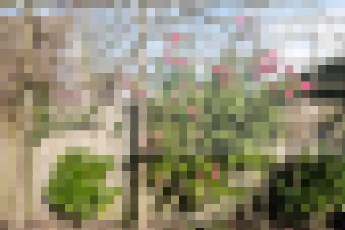 Hoogvelden 9 Best thumbnail 6