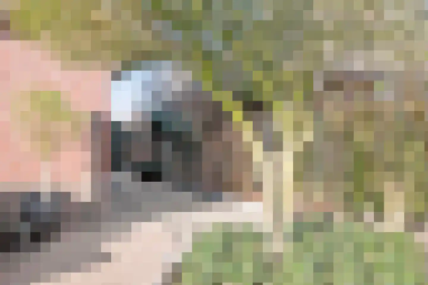Hoogvelden 9 Best thumbnail 8