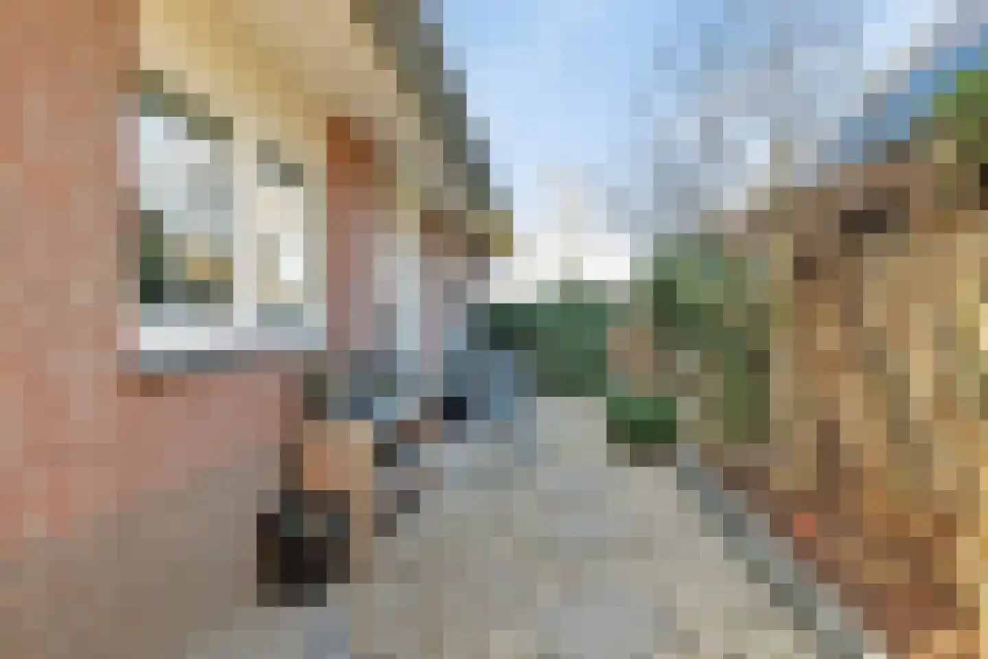 Hoogvelden 9 Best thumbnail 9
