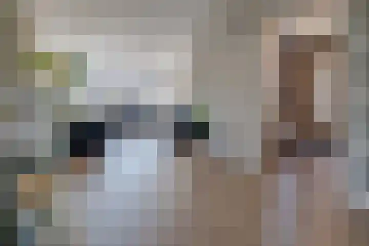 Hoogveldlaan 18 Sittard thumbnail 7