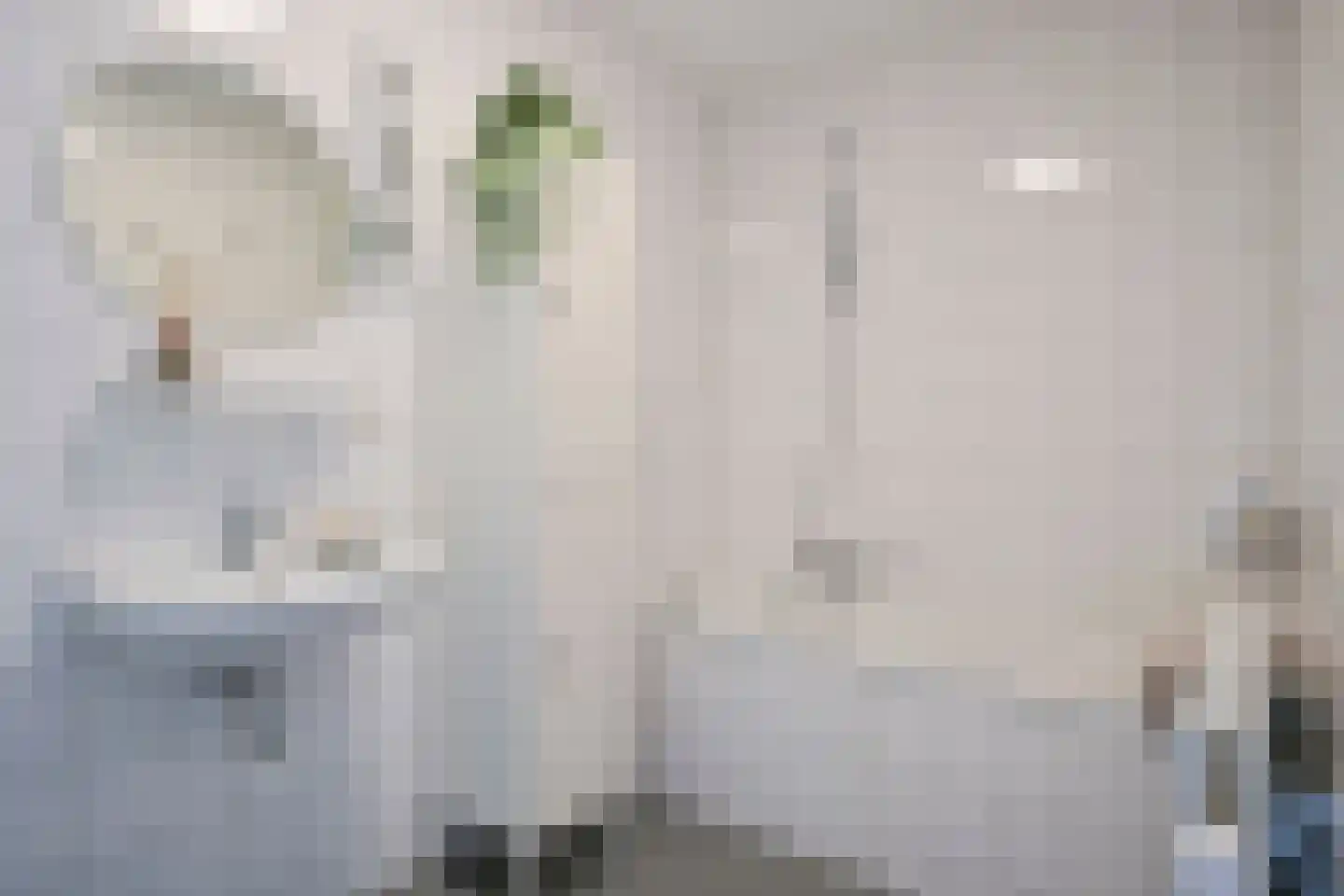 Hoogveldlaan 26 Sittard thumbnail 12