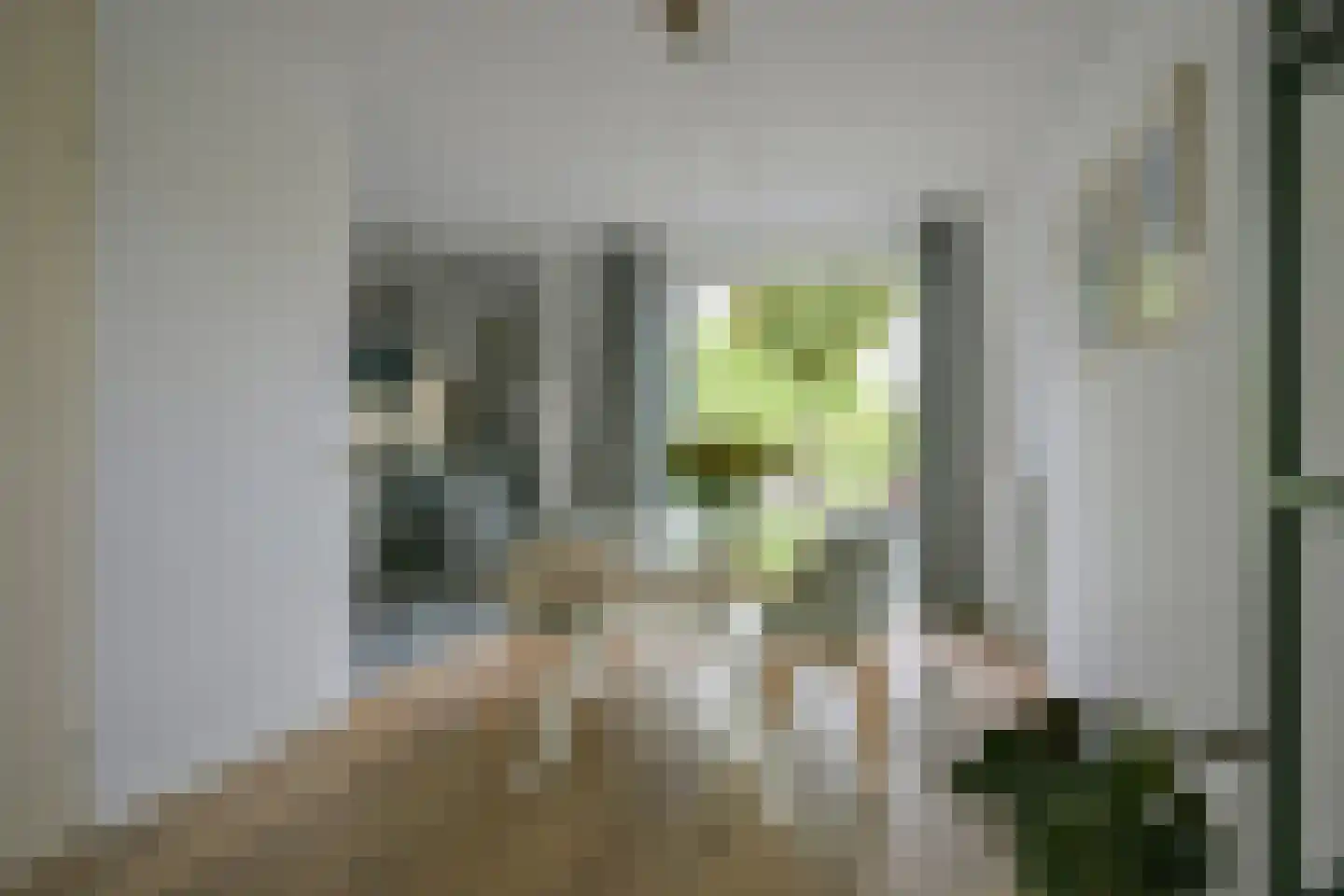 Hoogveldlaan 26 Sittard thumbnail 19