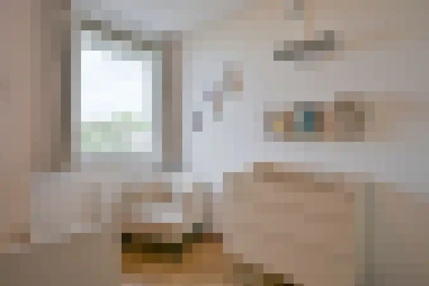 Hoogveldlaan 26 Sittard thumbnail 28