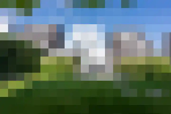 Hoogveldlaan 57 Heerlen thumbnail 28