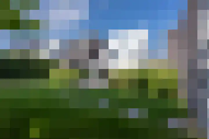 Hoogveldlaan 57 Heerlen thumbnail 29