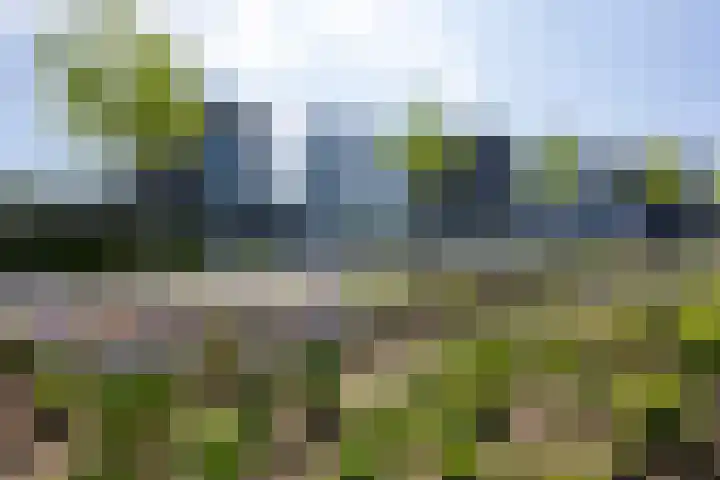 Hoogveldlaan 57 Heerlen thumbnail 37