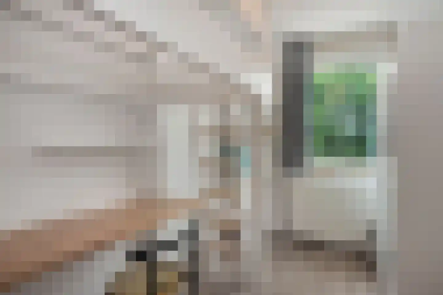 Hoogveldlaan 63 Sittard thumbnail 26