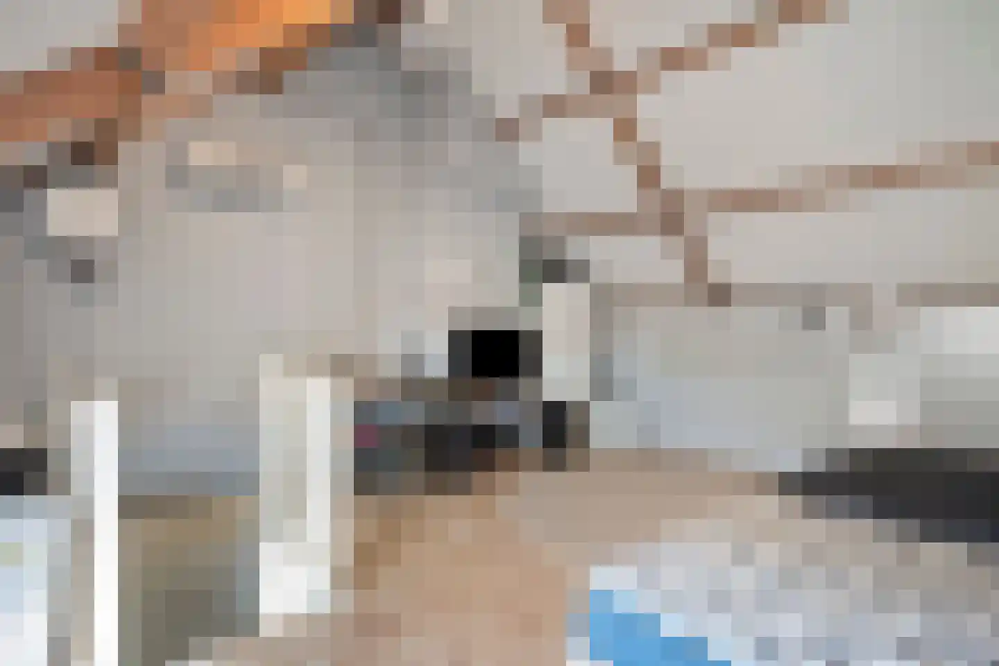 Hoogveldlaan 63 Sittard thumbnail 37