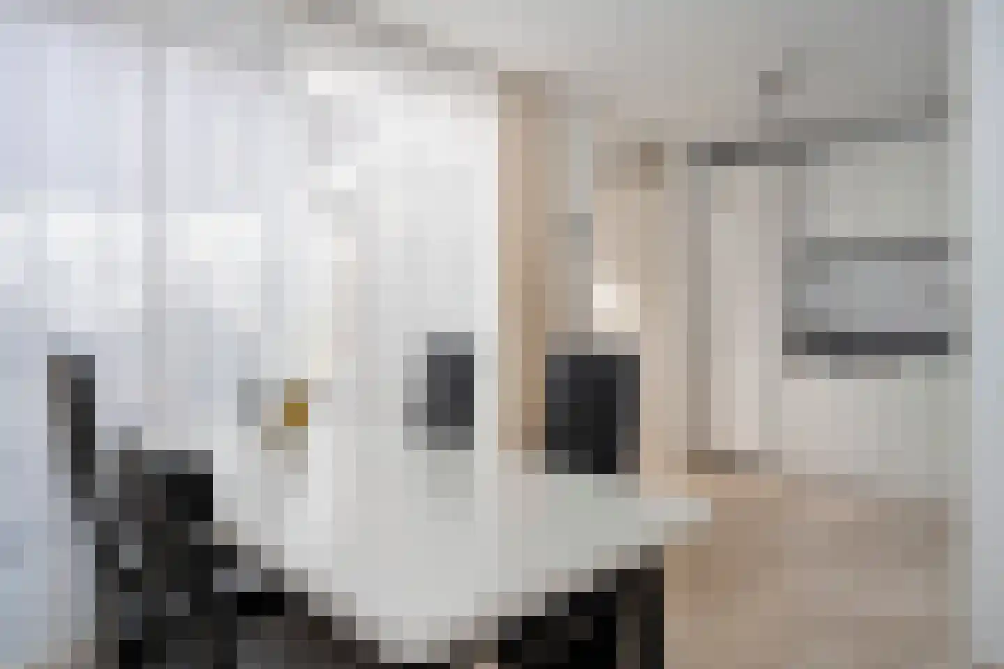 Hoogveldlaan 63 Sittard thumbnail 4