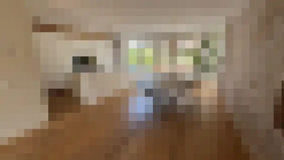 Hoogveldlaan 71 Heerlen thumbnail 4