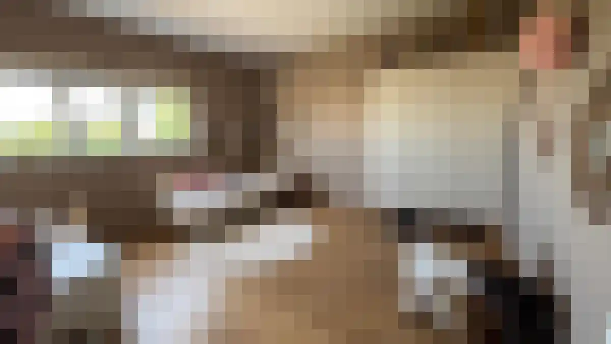 Hoogveldlaan 71 Heerlen thumbnail 5