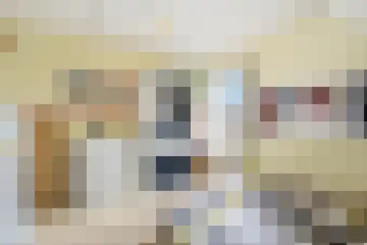 Hoogveldscheweg 1 b Velp thumbnail 15