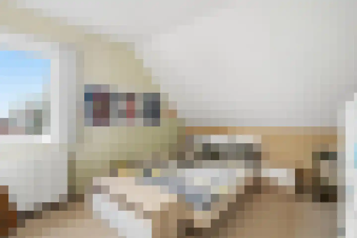 Hoogveldscheweg 1 b Velp thumbnail 16