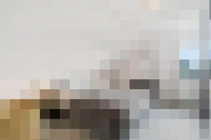 Hoogveldscheweg 1 b Velp thumbnail 17