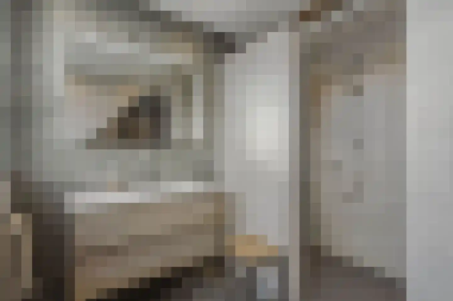 Hoogveldscheweg 1 b Velp thumbnail 23