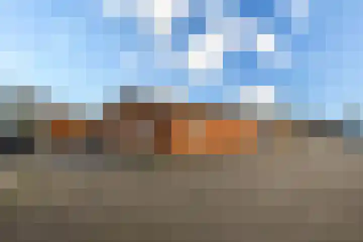Hoogveldscheweg 1 b Velp thumbnail 33