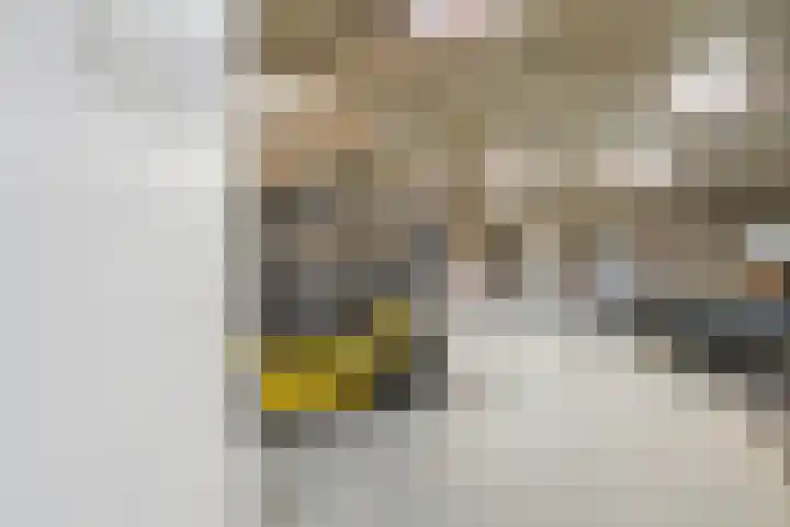 Hoogveldscheweg 1 b Velp thumbnail 35